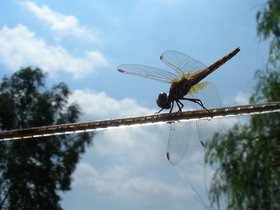 09-0831-Silifke (266)a.jpg